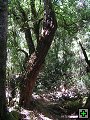 thn_NZ leden-unor 2006 265.jpg